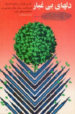 دلهای بی غبار